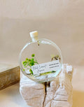 Botanical Reed Diffuser – 100ml Handmade Home Fragrance | 23 Scents